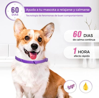 COLLAR CALMANTE PARA PERRO X 3