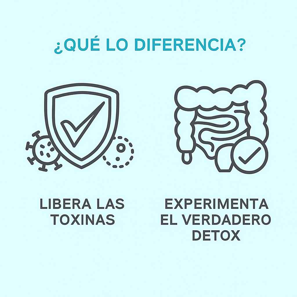 Elimina toxinas y mejora tu bienestar intestinal día a día