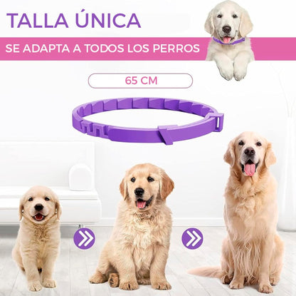 COLLAR CALMANTE PARA PERRO X 3